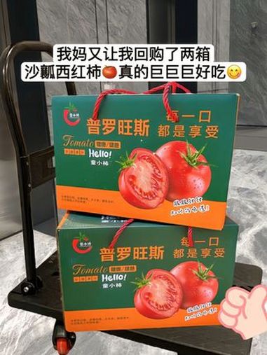 这个普罗斯沙囊西红柿又沙又甜 一口下去浓浓的番茄 炒菜、做面怎么做都好吃 老式沙瓤西红柿 
