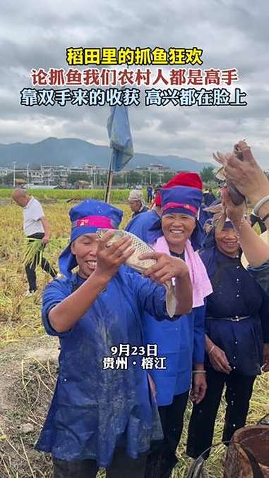 稻田里的抓鱼狂欢,论抓鱼我们农村人都是高手。靠双手来的收获,高兴都在脸上。(剪辑:杨芳芳 