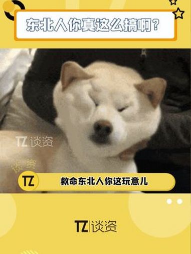 东北人你这玩意儿你真这么吃啊!给我看傻了!难道只有我一个人一口吞?黄龙绿豆糕 绿豆糕