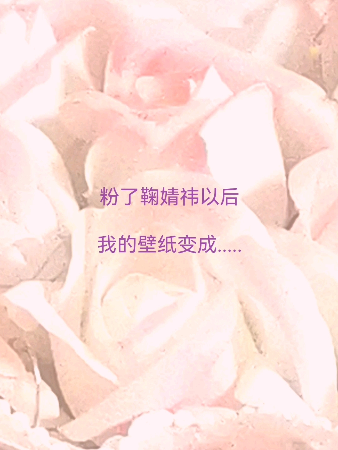 粉了鞠婧祎,我的壁纸全是鞠婧祎!