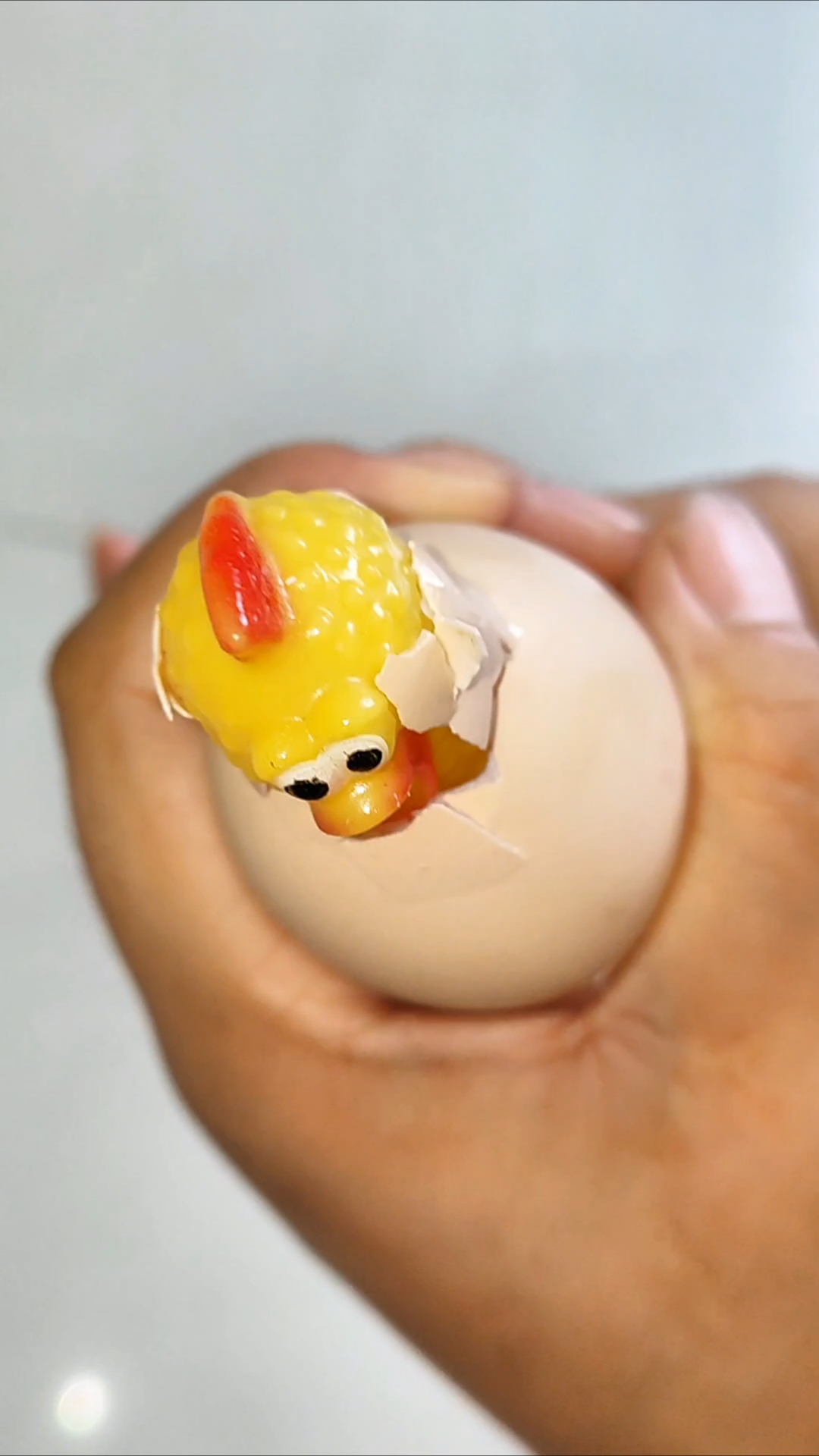 可爱的小鸡终于出壳了,太惊喜了