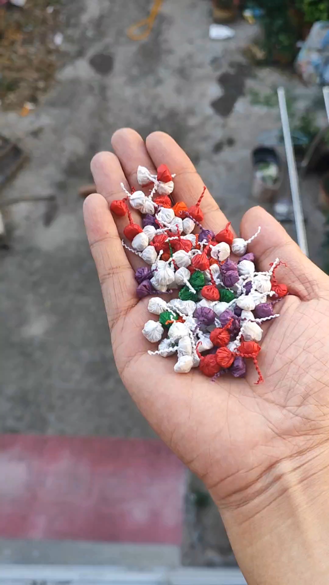 这么多小金鱼,真的太好玩了