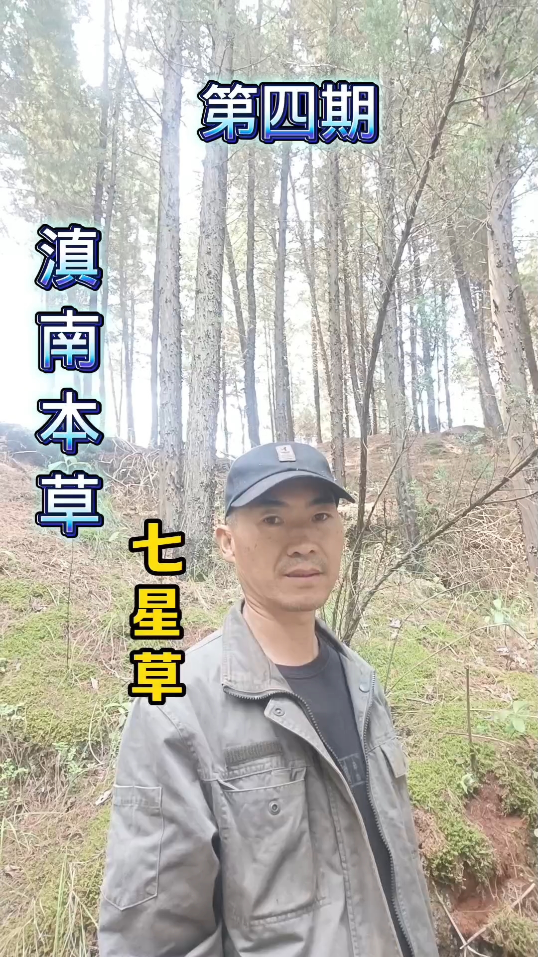 懂用就是药,不懂就是杂草