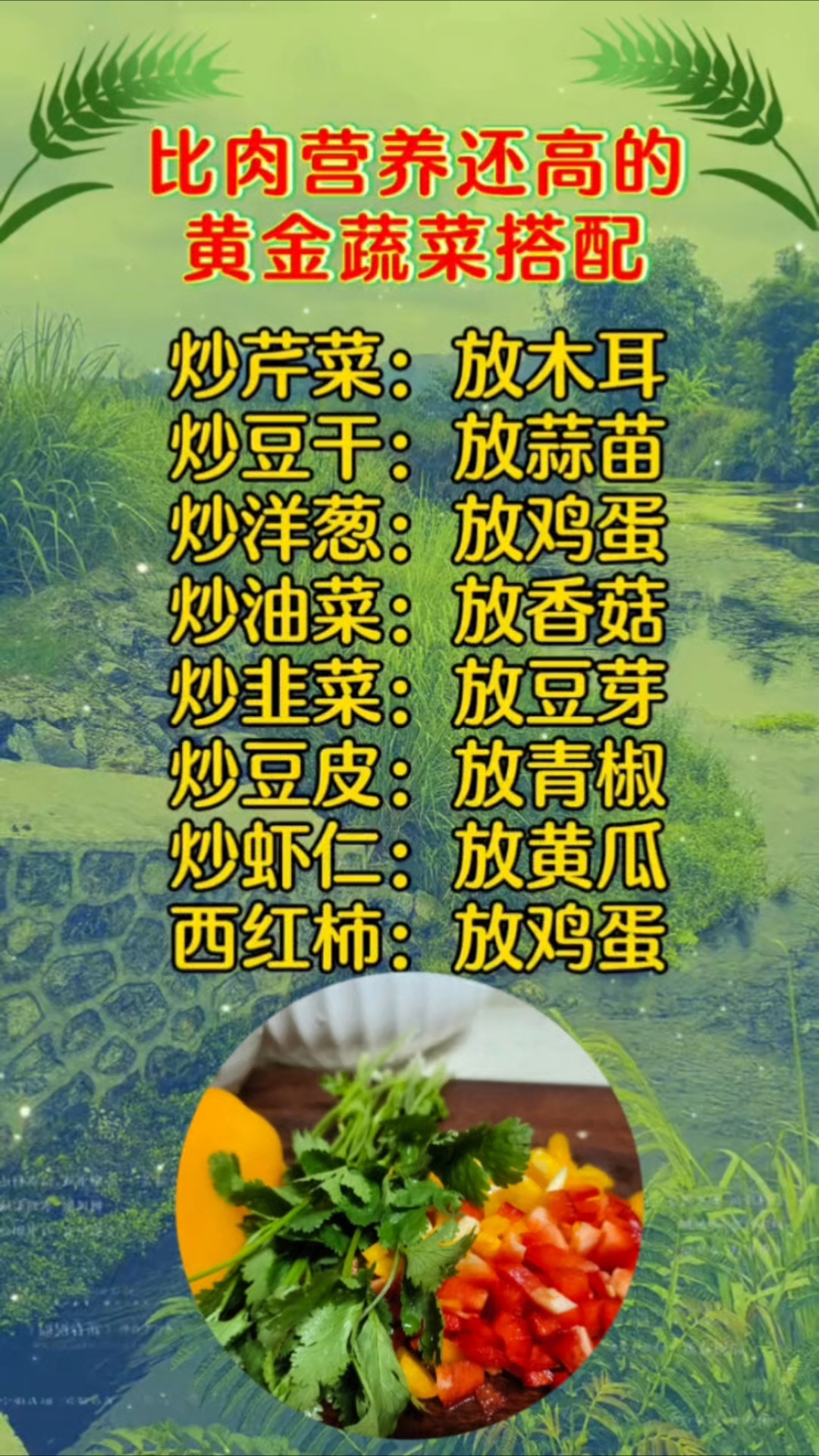 黄金蔬菜搭配:妙芹菜放木耳,炒豆芽放蒜苗,炒洋葱放鸡蛋。