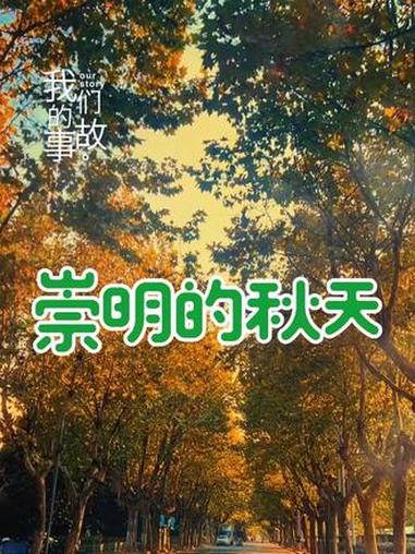 秋天的风总带着预谋,卷走枝头最后一片叶时,也卷走了我们之间仅存的温度。你说过要陪我看满街金