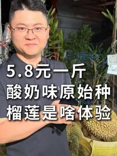 5.8元一斤酸奶味原始种榴莲是啥体验 泰国榴莲 泰国风情 泰国榴莲基地 水果猎人金童 榴莲