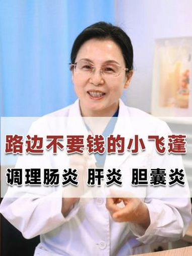 路边不起眼的小飞蓬,可以调理肝炎、肠炎、胆囊炎 飞蓬草 肝炎 胆囊炎 肠炎 中医养生 @抖