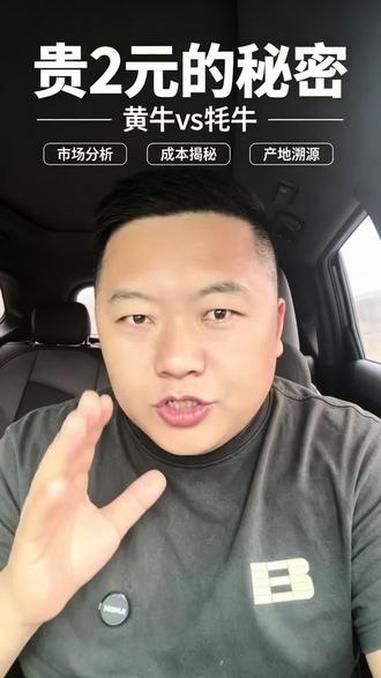 成都的黄牛肉为什么干不过牦牛肉？#黄牛肉 #牦牛肉 #牛肉价格 #鲜牛肉批发 #牛肉