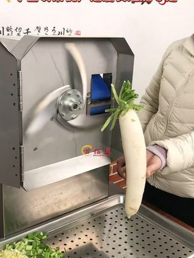 多功能切菜机 切菜机 小型切菜机 食堂切菜机 加工厂切菜机