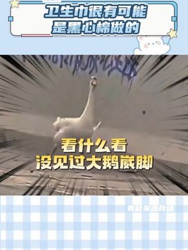 大鹅崴脚 我这屎一样的笑点啊!