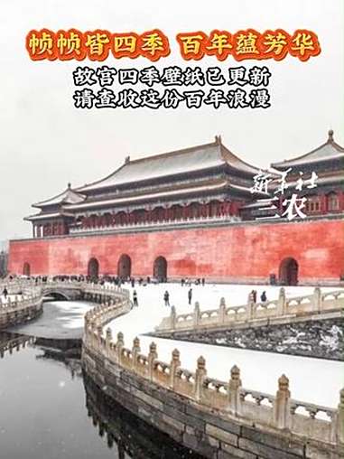 帧帧皆四季,百年蕴芳华。故宫四季壁纸已更新,请查收这份百年浪漫。故宫四季 故宫百年 故宫百