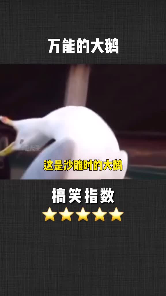 万能的大鹅,你值得拥有!沙雕#许下2022第一个愿望##考研能量站#