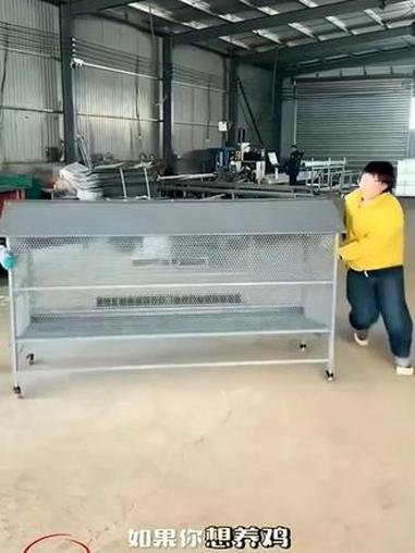 户外养鸡笼鸡棚养殖鸡笼子防黄鼠狼加厚母鸡下单笼农村家用养殖笼 #养鸡笼 #鸡笼子 #养鸽子