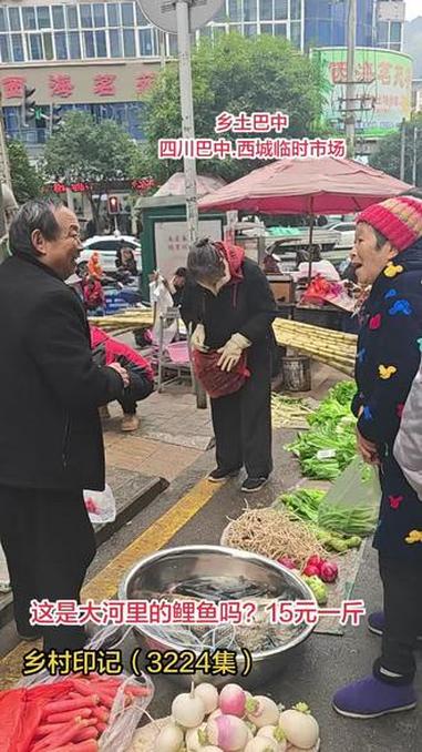 这是大河鲤鱼吗?15元钱一斤!原创视频 优质农产品 热闹的一条街 集市摆摊 记录生活