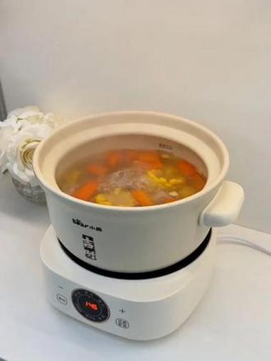 小熊电砂锅煲汤锅全自动电炖锅炖汤锅辅食锅家用煲炖锅煲汤煮粥锅 小熊快炖电砂锅，煲汤炖汤锅电