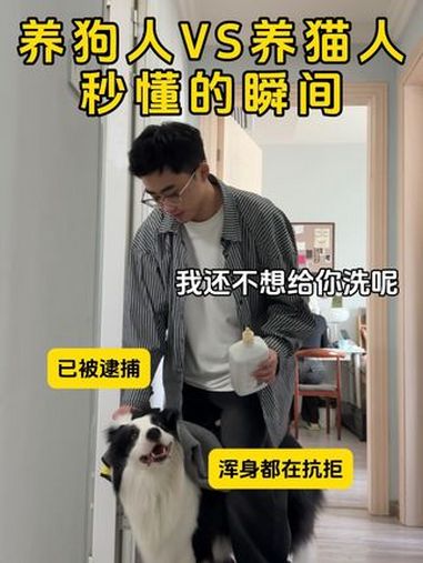 养狗人VS养猫人秒懂的瞬间 万物可爱计划 被小狗治愈的一万个瞬间 萌宠出道计划 萌宠日常记