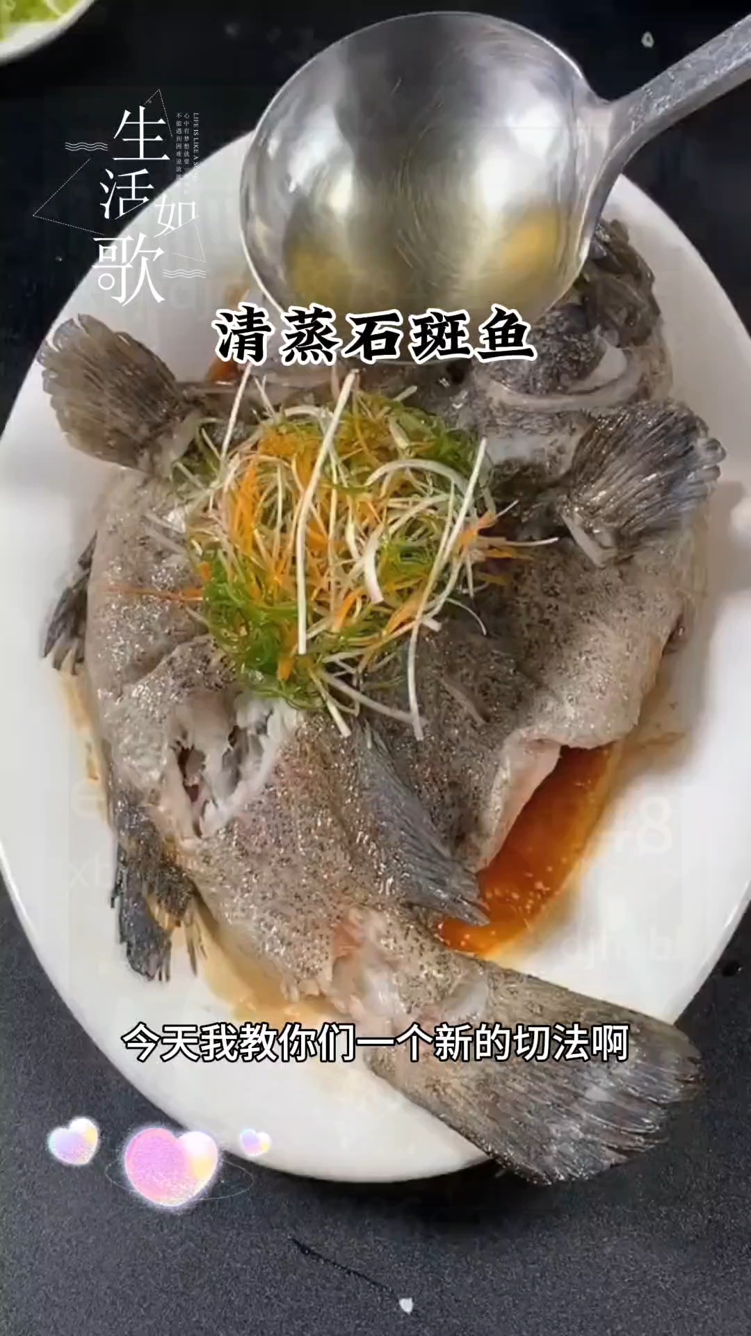 清蒸石斑鱼,生活如歌,新做法等你来尝试!