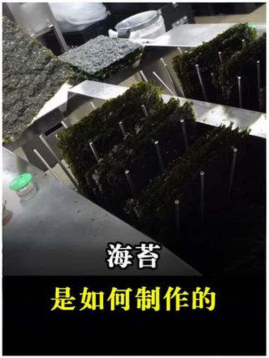海苔的制作过程!了解过后让你目瞪口呆 海苔脆