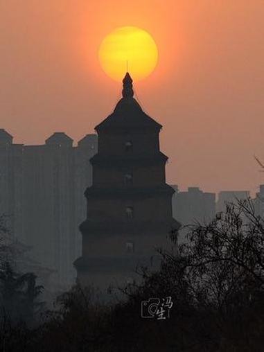 大雁塔把太阳稳稳托在塔尖的那一秒,我好像真的穿越回了长安。风里都是千年前的晨钟与烟火#西安