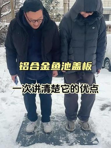选择铝合金鱼池盖板都有哪些优点#鱼池过滤 #庭院鱼池 #鱼池盖板 #锦鲤鱼池 #鱼池改造