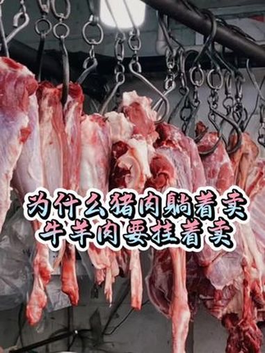 这算个好问题。放心肉 美食趣味计划 饮食