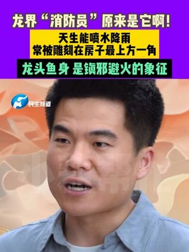 龙界“消防员”原来是它啊!天生能喷水降雨常被雕刻在房子最上方一角 龙头鱼身 是镇邪避火的象