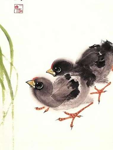 国画小鸡 一笔水墨画小鸡 上热门 国画 花鸟画 水墨画 小鸡
