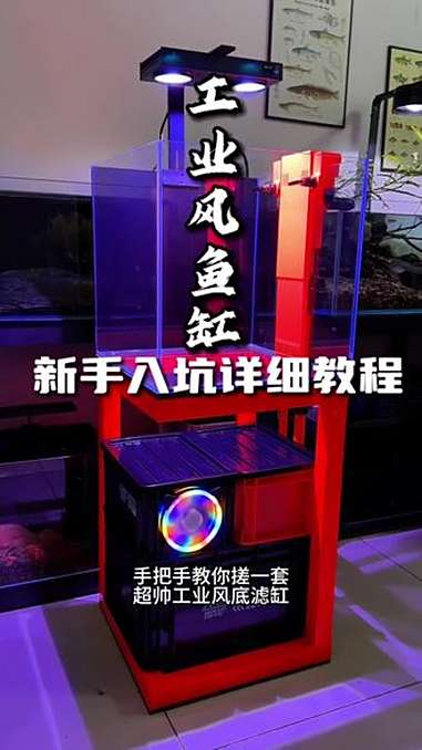 显眼包天花板！全网刷不到第二款！完整制作过程材料清单，大胆复刻吧！工业风鱼缸 周转箱底滤 