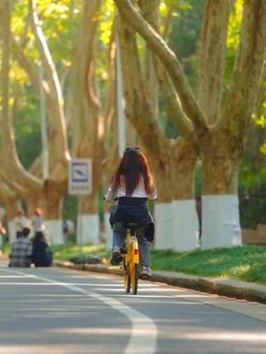 走过坎坷,才知平安最好,尝过酸甜,才知平淡就好,历经兴衰,才知……知足就好,且行且惜,不悲