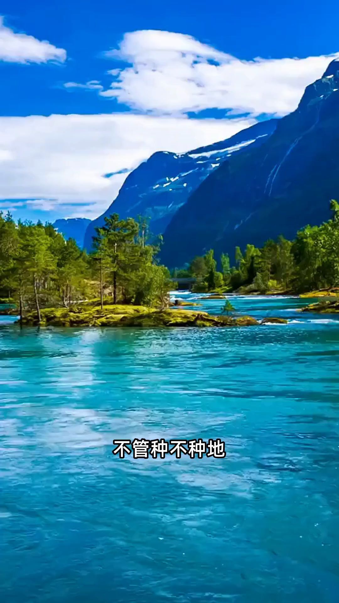 种菜时间和技巧一览表