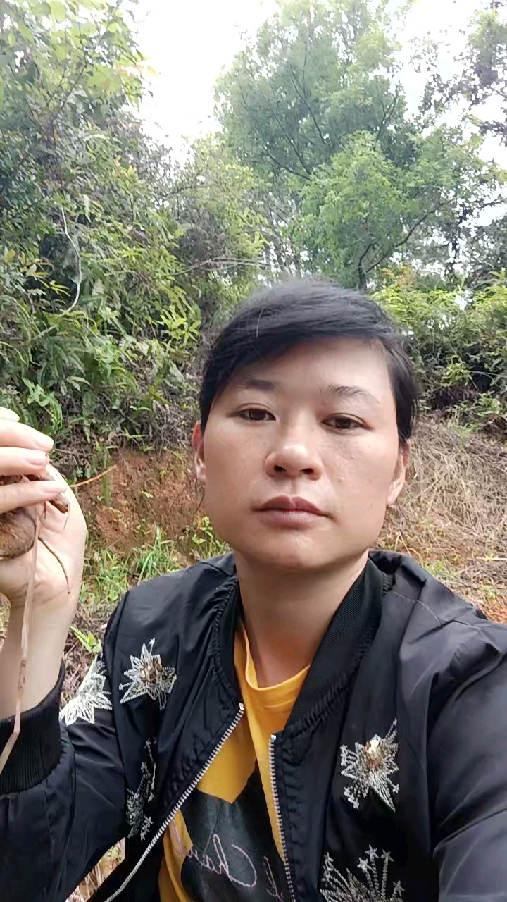 有谁见过一个地方有甘多野生鸡心薯