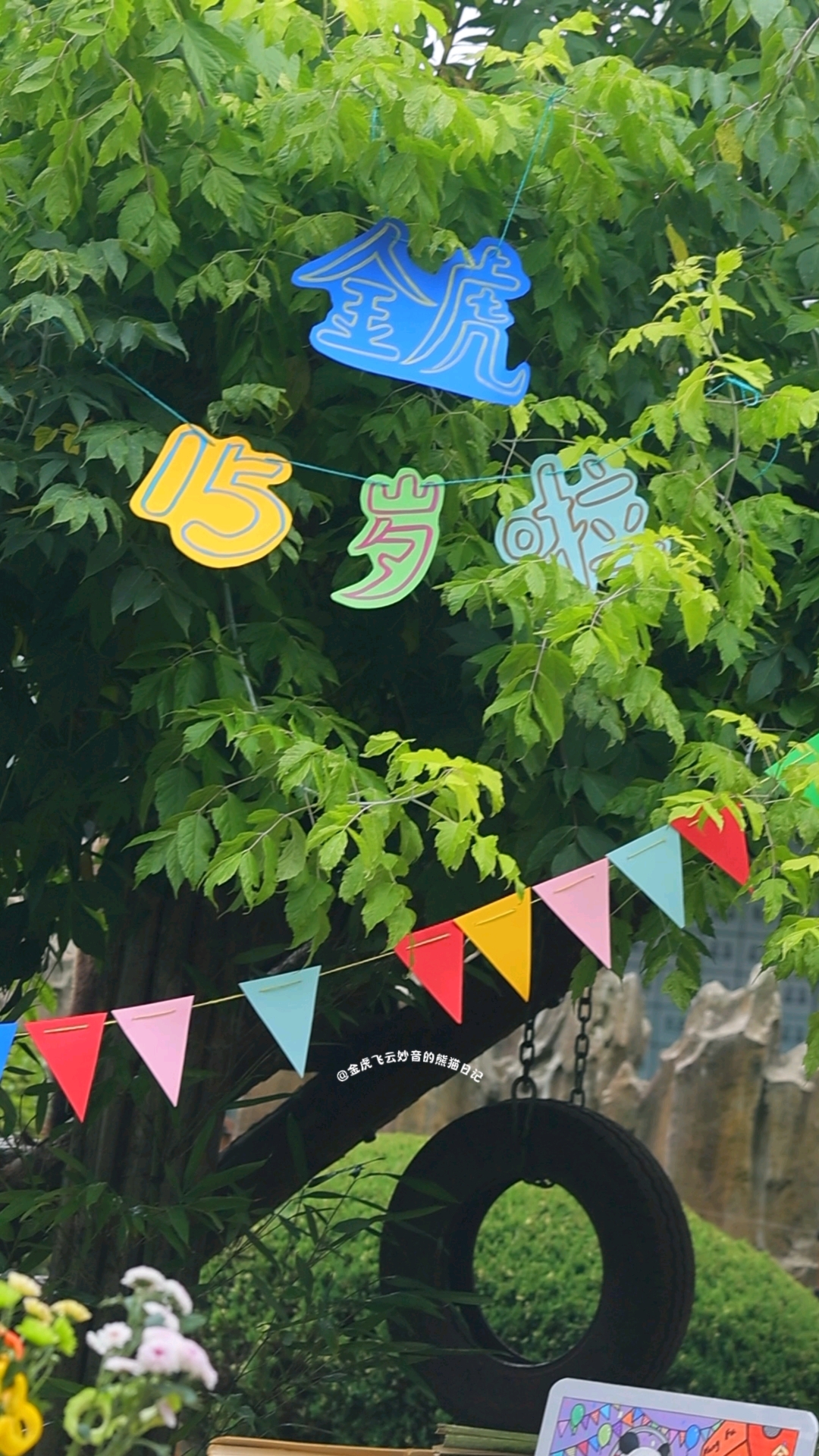 金虎生日会,虎虎把蛋糕上的5转过去就变成12岁啦,哈哈!