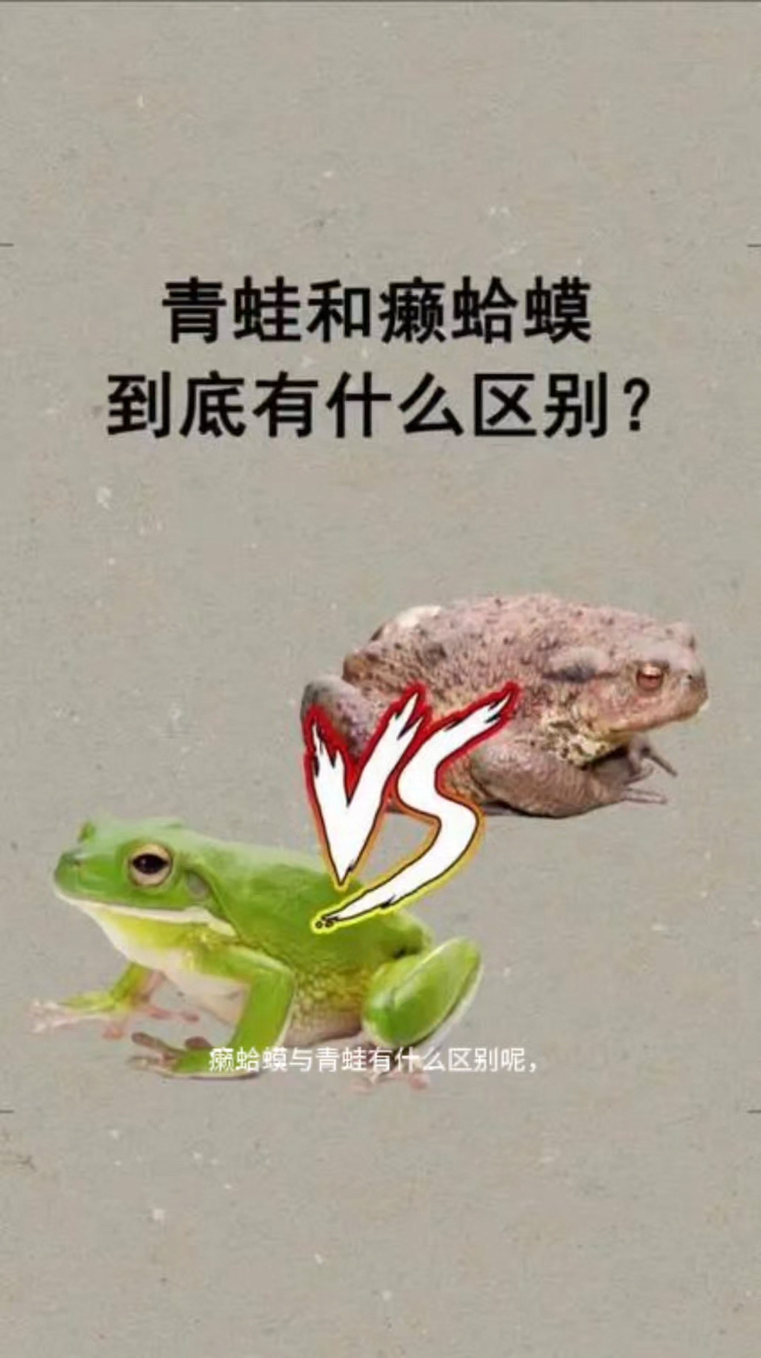 癞蛤蟆想吃天鹅肉