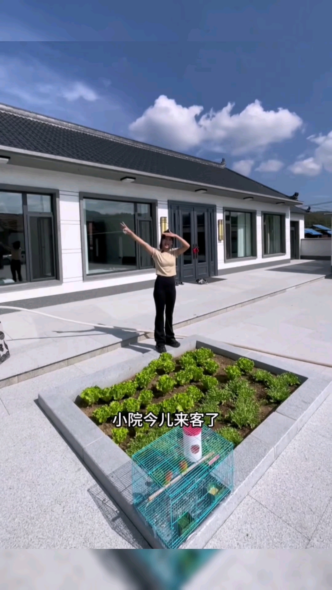 小院新菜刚冒芽,来客带了啥惊喜?