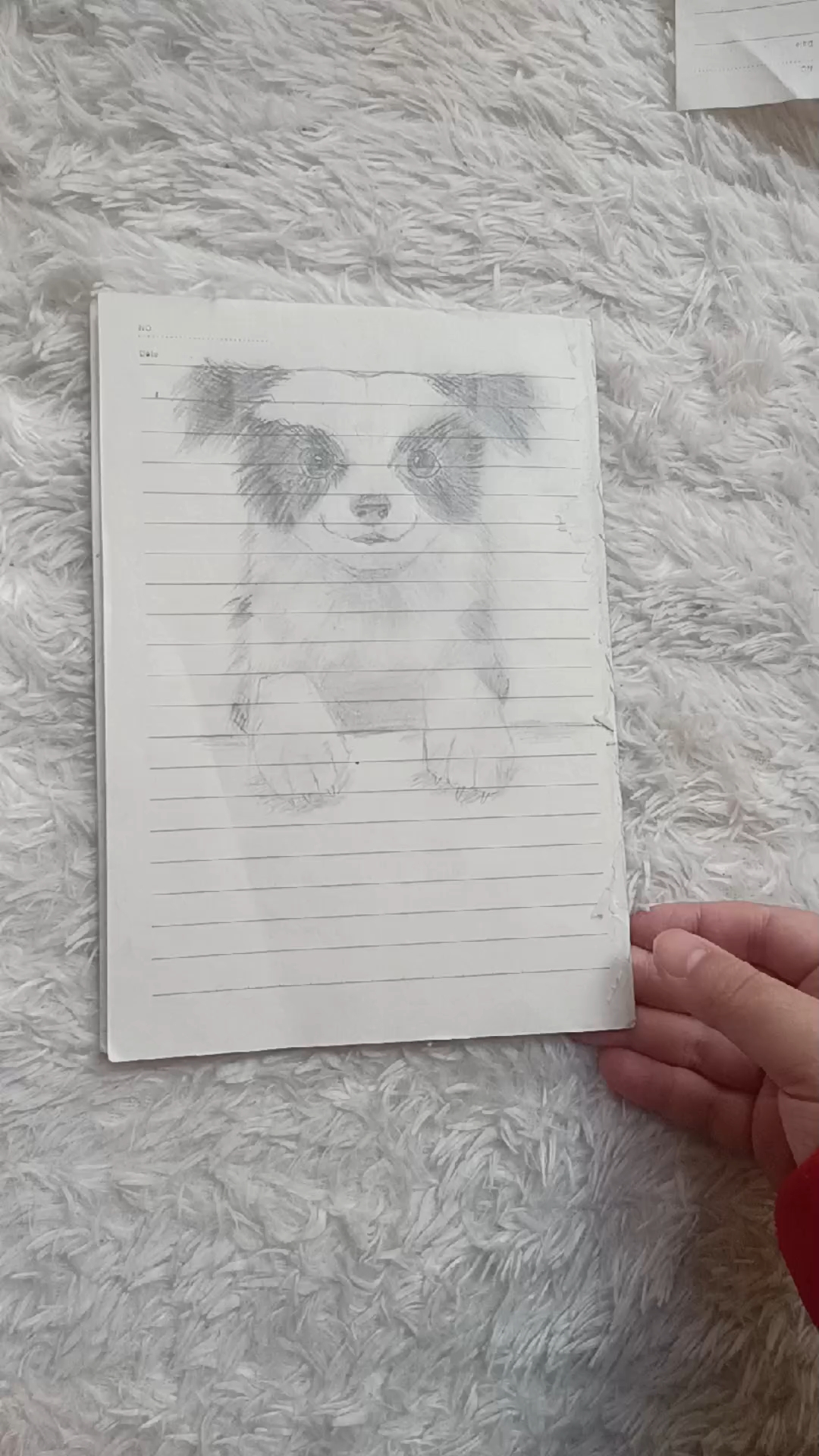 #素描#小狗的简笔画,自习课上画的