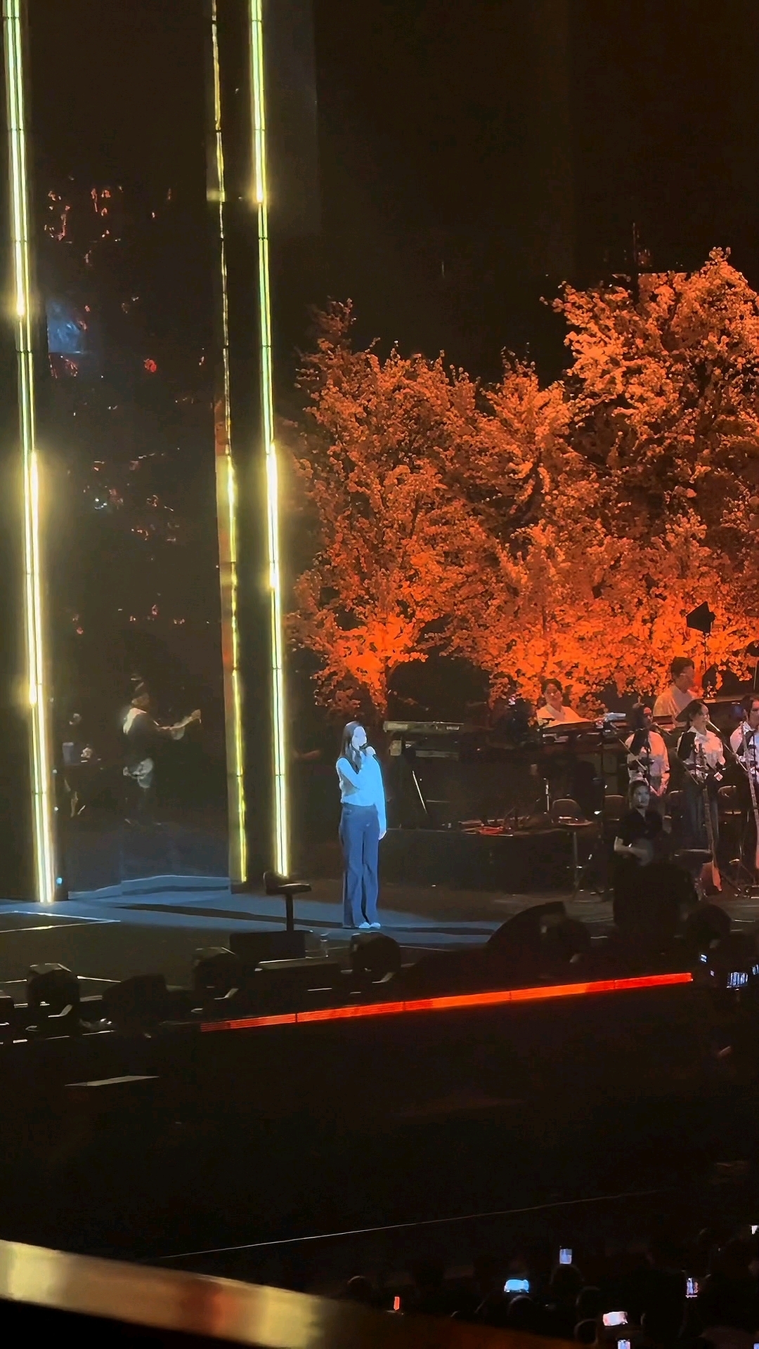 刀郎临沂站《谁不是俺家乡好》