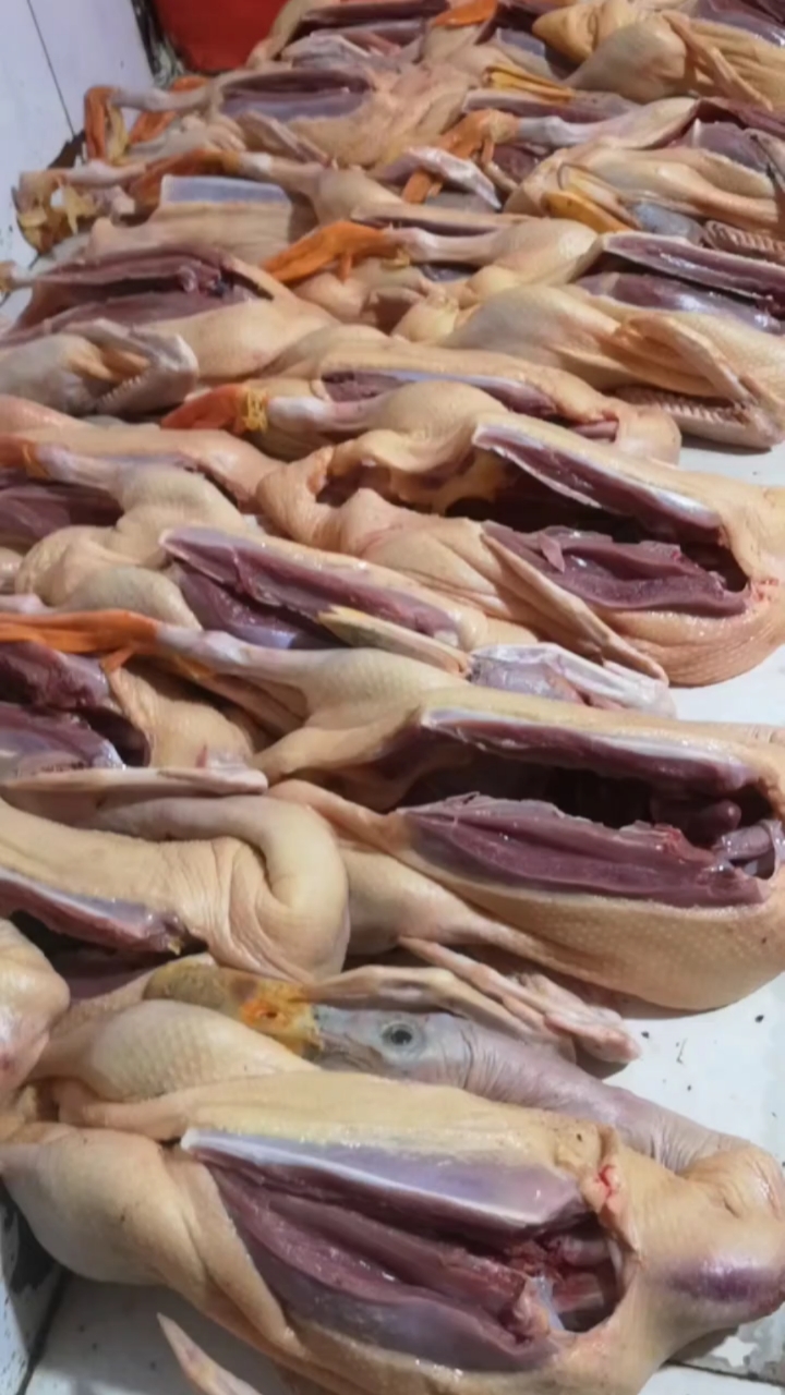 怀化最好吃的鸭子洪江血粑鸭