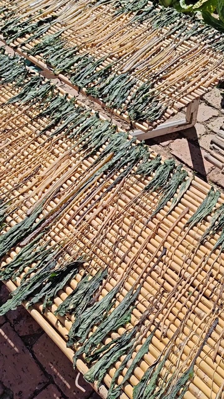 甜菜缨子晒干,冬天用开水煮好,无论是蘸酱吃还是炝拌吃,都下饭