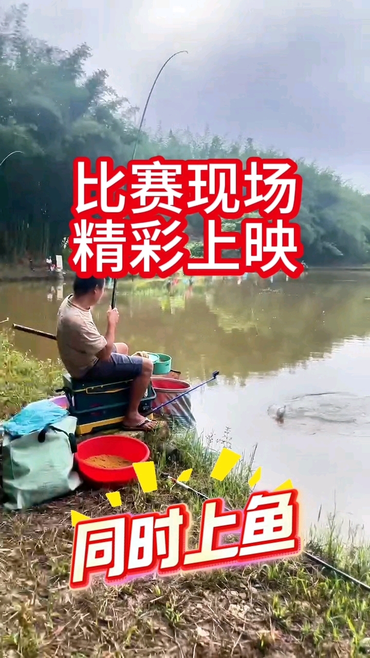 比赛现场,精彩刺激#户外运动#钓鱼#比赛现场#户外运动