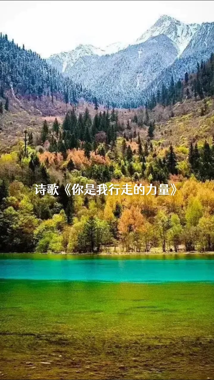诗歌推荐《你是我行走的力量》