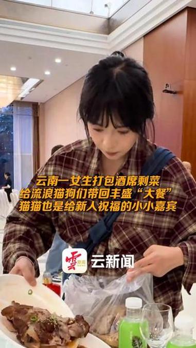 云南一女生打包酒席剩菜给流浪猫狗们带回丰盛“大餐”