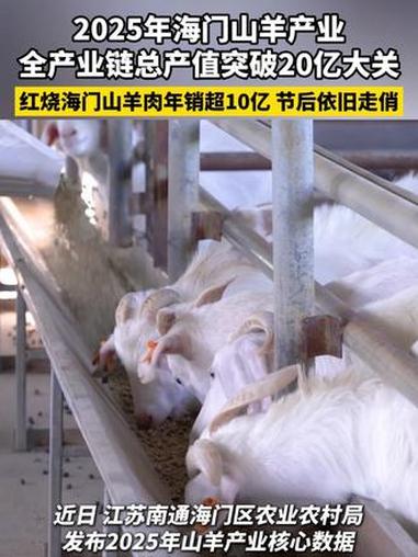 2025年海门山羊产业全产业链总产值突破20亿大关!红烧海门山羊肉年销超10亿,节后依旧走