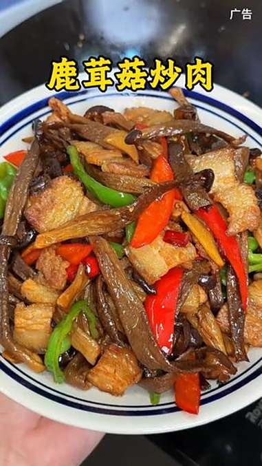 鹿茸菇的好谁吃谁知道,炒菜炒肉或者煲汤,鲜嫩入味口感脆爽,吃一次就爱上 鹿茸菇的做法 菌菇