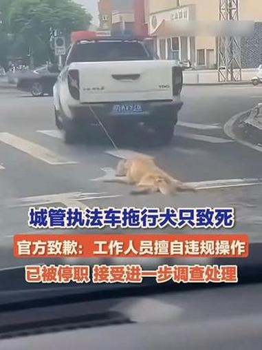 城管执法车辆拖行犬只致死,5月28日,湖南永州,江永县城市管理和综合执法局致歉