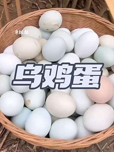 乌鸡蛋 太香了 散养土鸡蛋 优质农产品 超便宜超划算