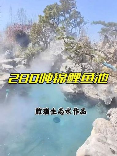 280吨锦鲤鱼池建造过程,马上就要放鱼了 110平方鱼池,深度1.98米,30平方过滤池,