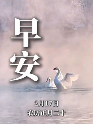 今天是2月17日,星期一。晨雾氤氲袅袅,天鹅翩翩起舞。愿您生活多彩,好运常在。早安!