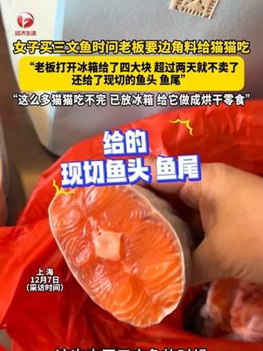 女子买三文鱼时问老板要边角料给猫猫吃，“老板打开冰箱给了四大块，说超过两天就不卖了，还给了