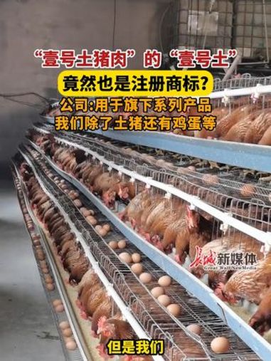 3月27日发布,“壹号土猪肉”的“壹号土”竟然也是注册商标?公司:用于旗下系列产品,我们除