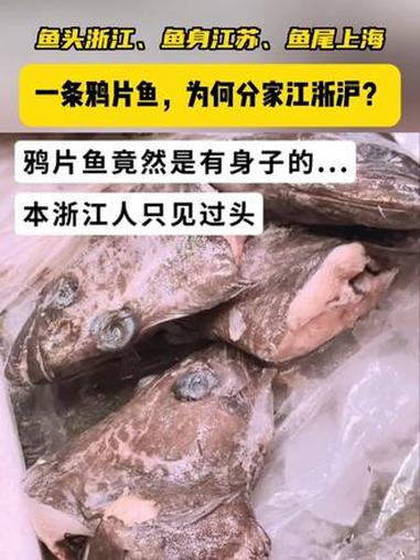 鱼头浙江、鱼身江苏、鱼尾上海？60秒看懂鸦片鱼为何分家江浙沪